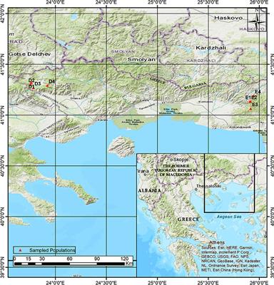 Adaptive Diversity of Beech Seedlings Under Climate Change Scenarios